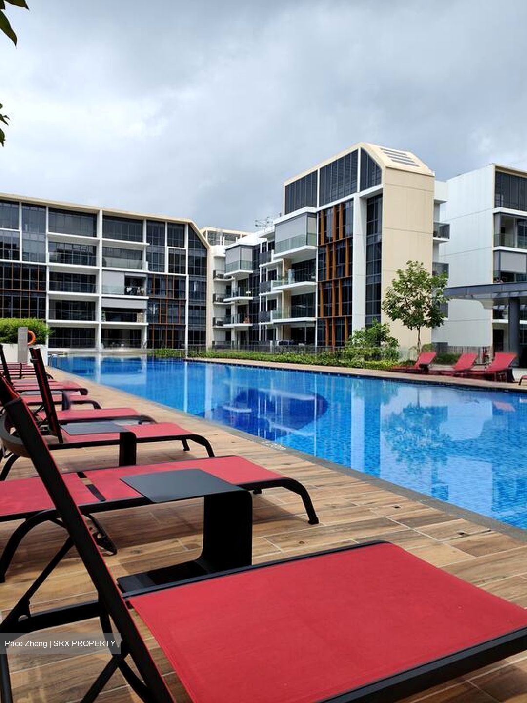 The Gazania (D19), Condominium #584340021